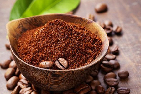 咖啡渣适合养哪些植物（附使用办法、用处）
