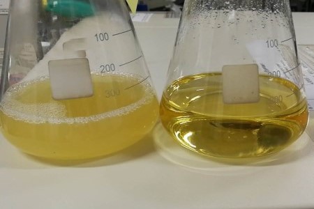 根结线虫用什么治简单彻底，该怎么预防？
