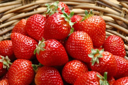 草莓成熟的季节是大多数几月，该怎么挑选？