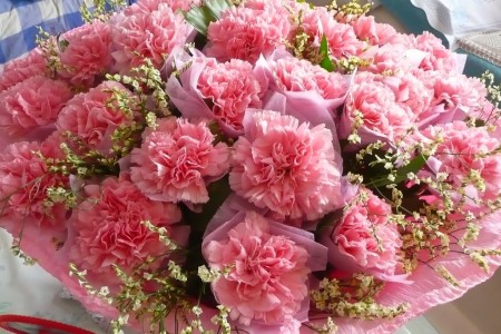 康乃馨的花语是啥，适合送什么人？