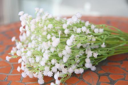 满天星花语，有什么传说