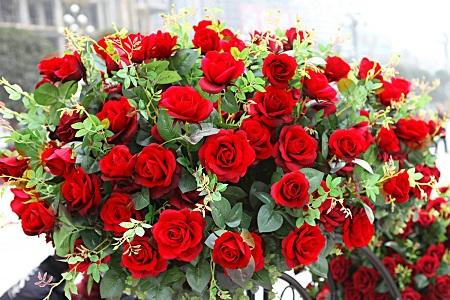 生日送什么花，有什么含义