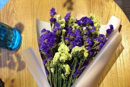 勿忘我花语，怎么制成干花保存