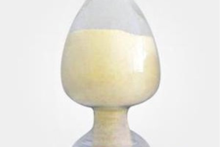 粉掌怎么种植,养护时该要注意什么?