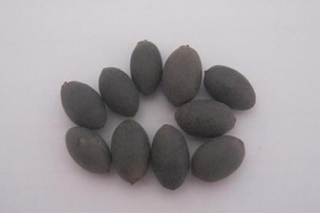 睡莲的种植办法，有什么注意些什么