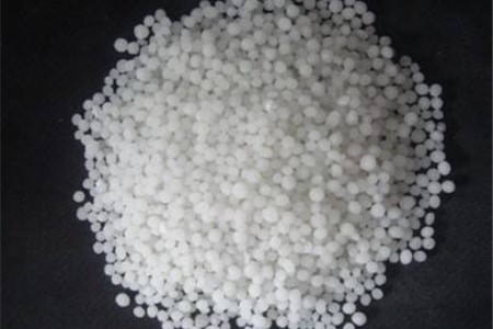 怎么种植扶桑花好，怎么能让它的花开得更久？