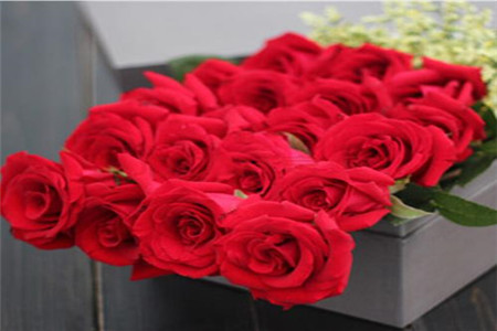 19朵玫瑰代表什么，有什么寓意