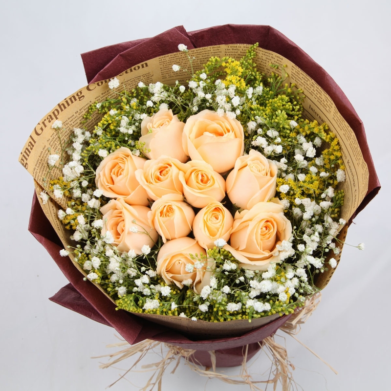 香槟玫瑰花语,水培的办法