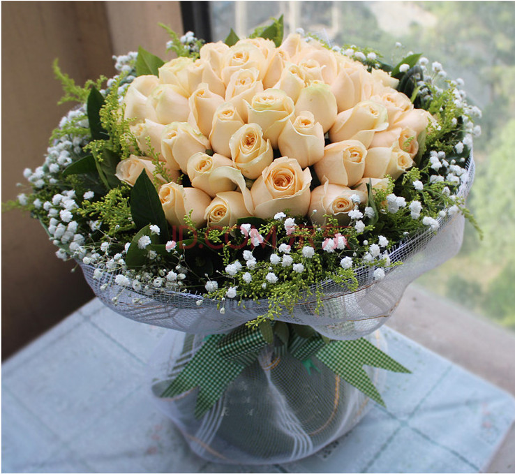 香槟玫瑰花语,水培的办法