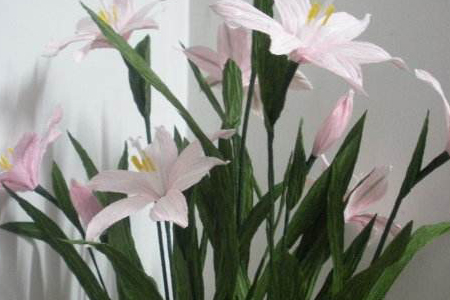 韭兰什么时候开花（花期怎么种植护）