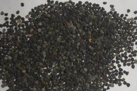 曼陀罗怎么种植（季节和种植办法）