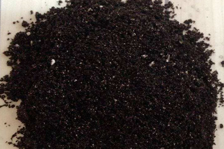 多肉蟹爪兰的养殖办法和注意些什么