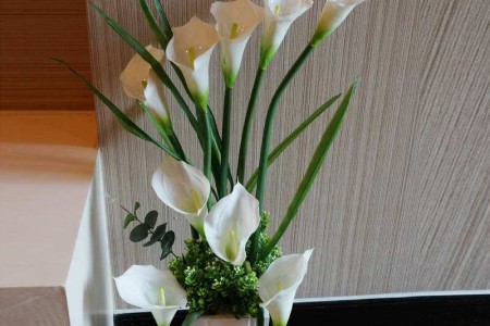 冬季马蹄莲的养殖方法和注意些什么