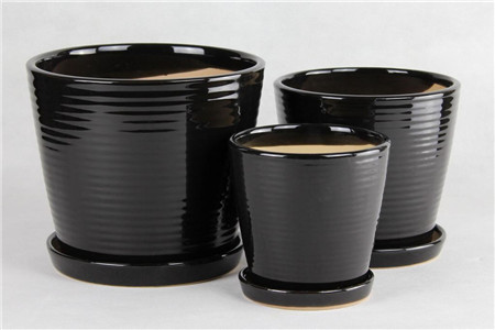 月季换盆注意些什么，使用什么样的花盆最好？