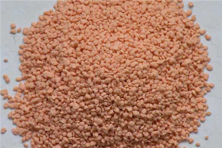 茶花怎么种植家庭养法（附多开花的方法）