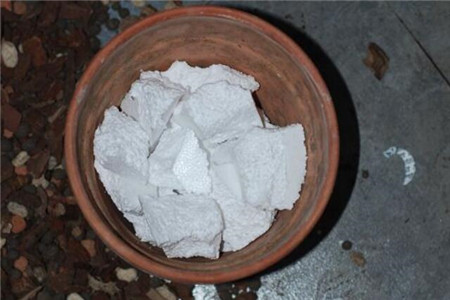 卡特兰怎么换盆，用什么花盆相当好？