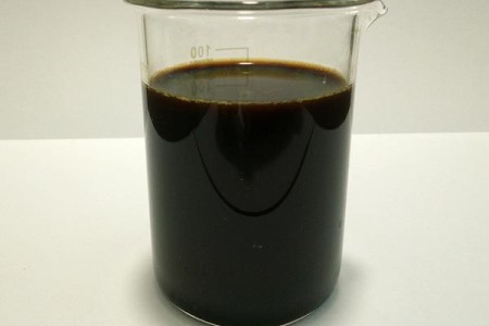 玉树怎么种植家庭养法（附浇水方法）