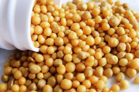 大丽花的种植告诉程