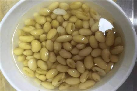 金边瑞香冬季能施肥吗，适合什么肥？