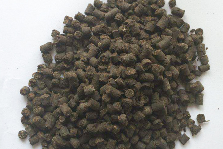 文竹为什么不开花