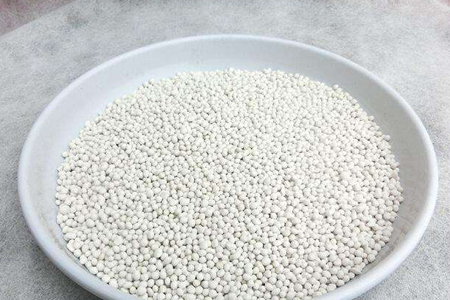 栀子花为什么干叶子