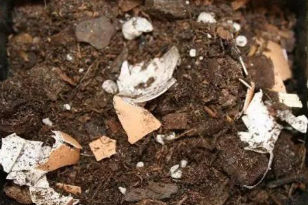 哪种花适合用鸡蛋壳肥，有什么好处