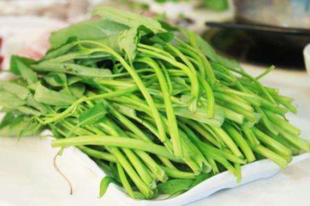 冬天阳台适合种什么菜