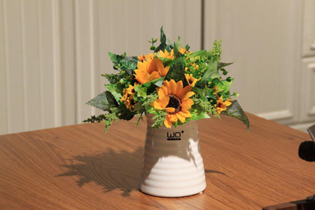 向日葵在花瓶里怎么种植，能养几天