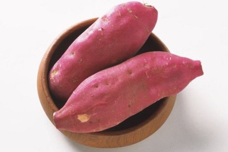 红薯的水培方法