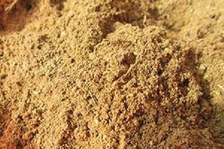 鸡冠花的养殖方法和注意些什么大全