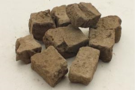 水生花卉的栽培方法技巧