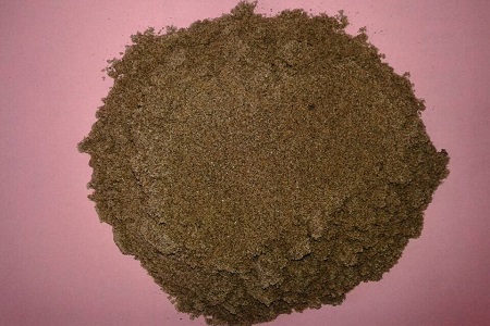 人参榕的养殖方法