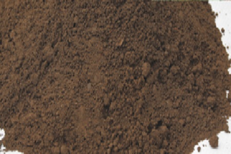 罗汉松的养殖方法