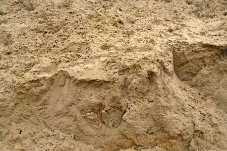 绣球的养殖方法和注意些什么大全