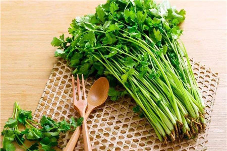 香菜的种植方法