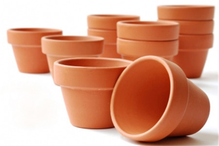 虎皮兰的养殖方法