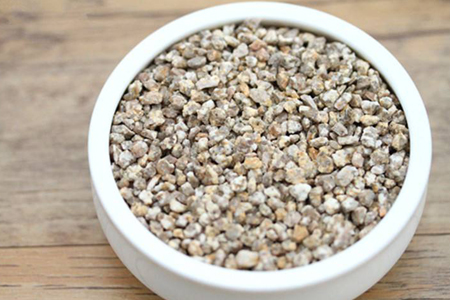 水仙的生活习性和养护方法技巧