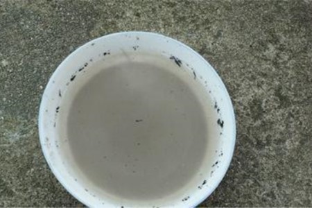 龟背竹水培转土培的方法