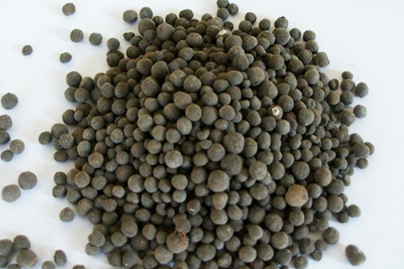 春天可以种植铃兰吗