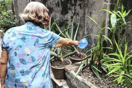 在春天给芦荟浇凉水会死吗