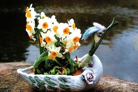 水仙花要晒太阳吗，该怎么晒太阳？