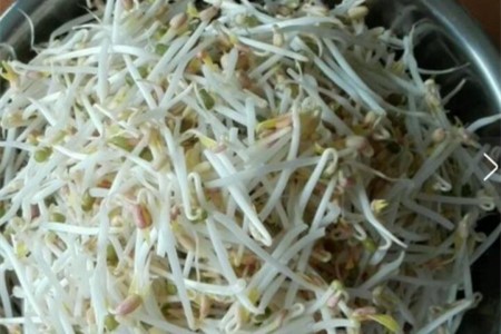 绿豆芽怎么生，自家怎么样快速生绿豆芽？