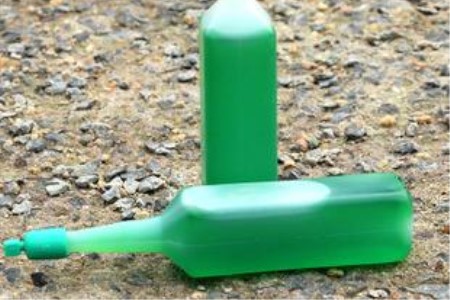 风信子怎么水培（附养护方法）