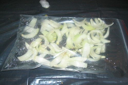 朱顶红的双鳞片繁殖方法