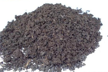 仙客来的养殖方法