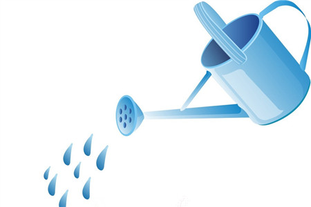 发财树如何繁殖