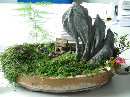 文竹十二个月养护技巧