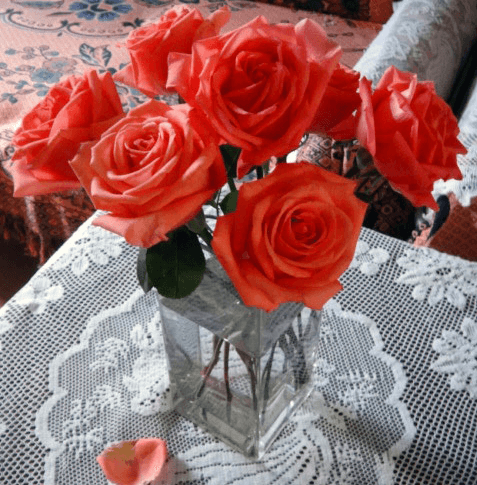 如何延长玫瑰花束的保鲜期