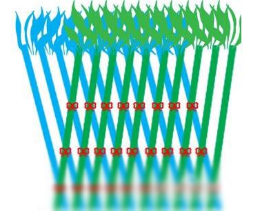 富贵竹笼如何编