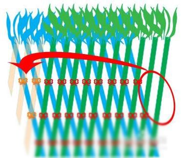 富贵竹笼如何编